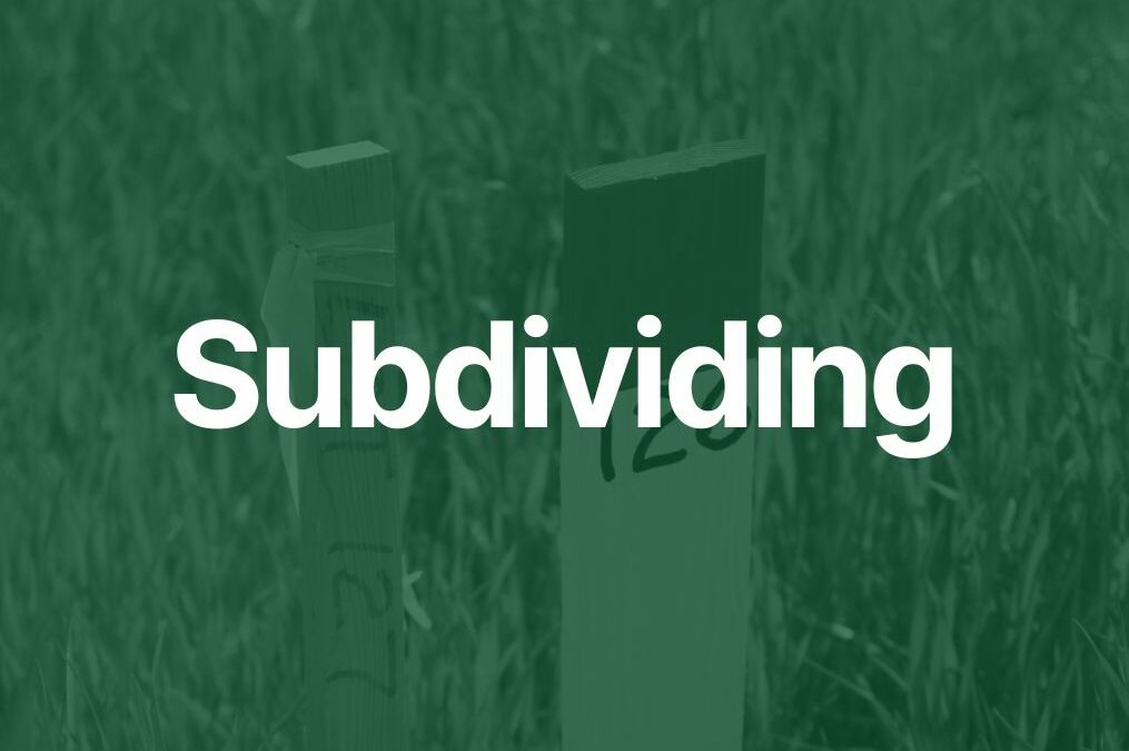 Let’s talk Subdividing!